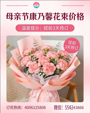 潮州枫溪区花店母亲节康乃馨花束