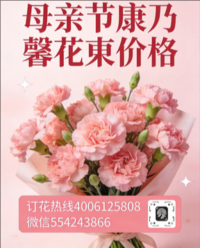 潮州枫溪区花店母亲节康乃馨花束